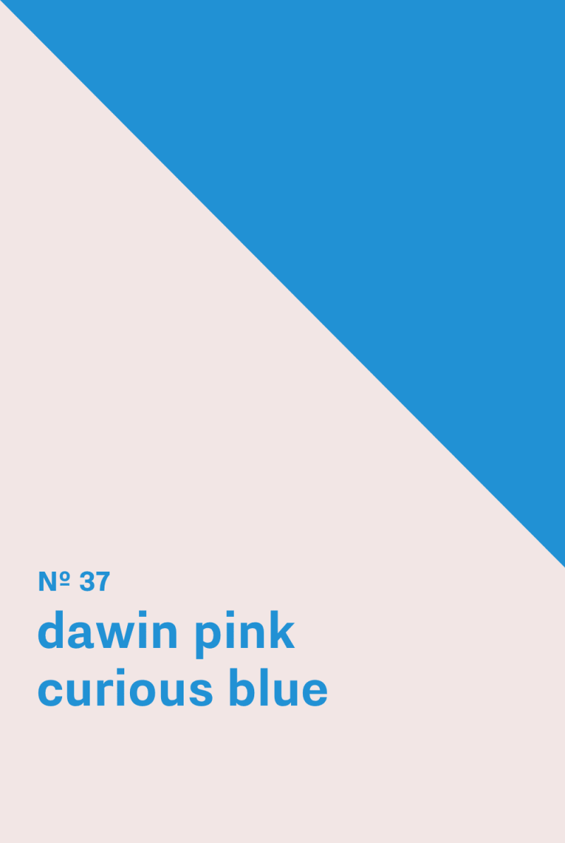 Color inspiration for: Edwin pink - Curious Blue