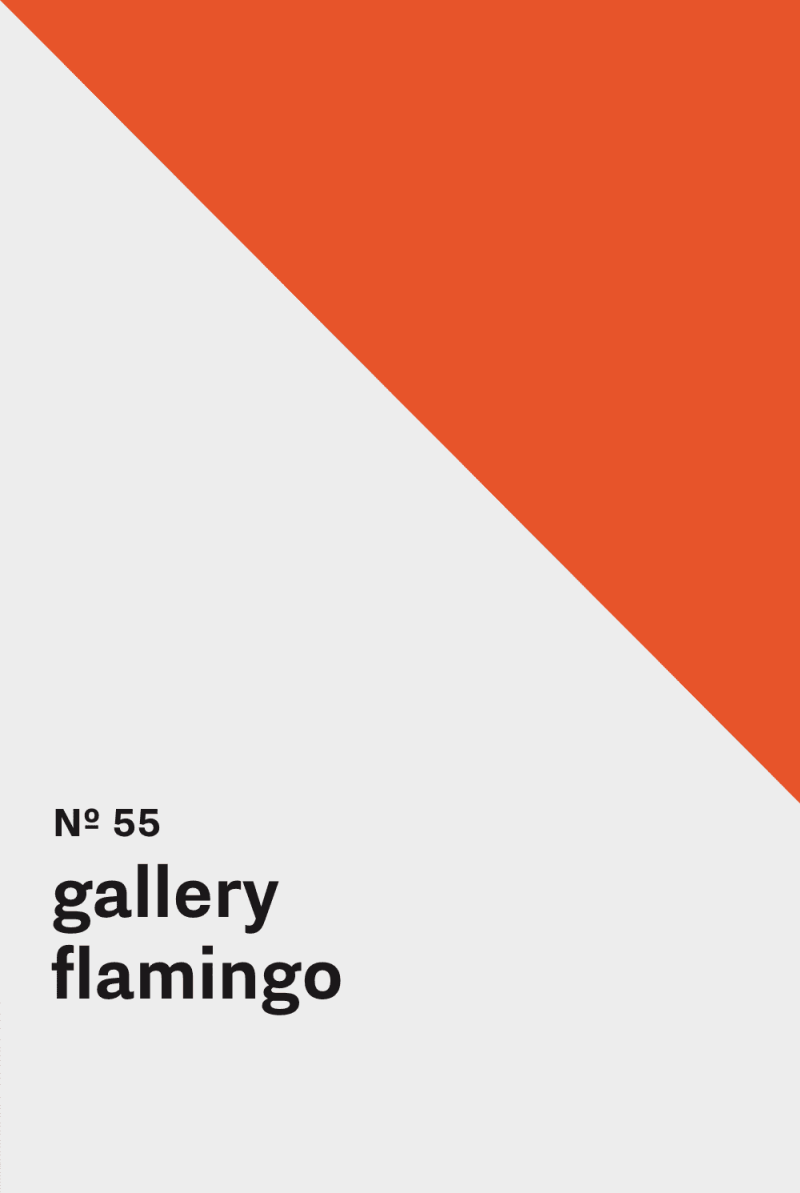 Color inspiration for: Gallery - Flamingo