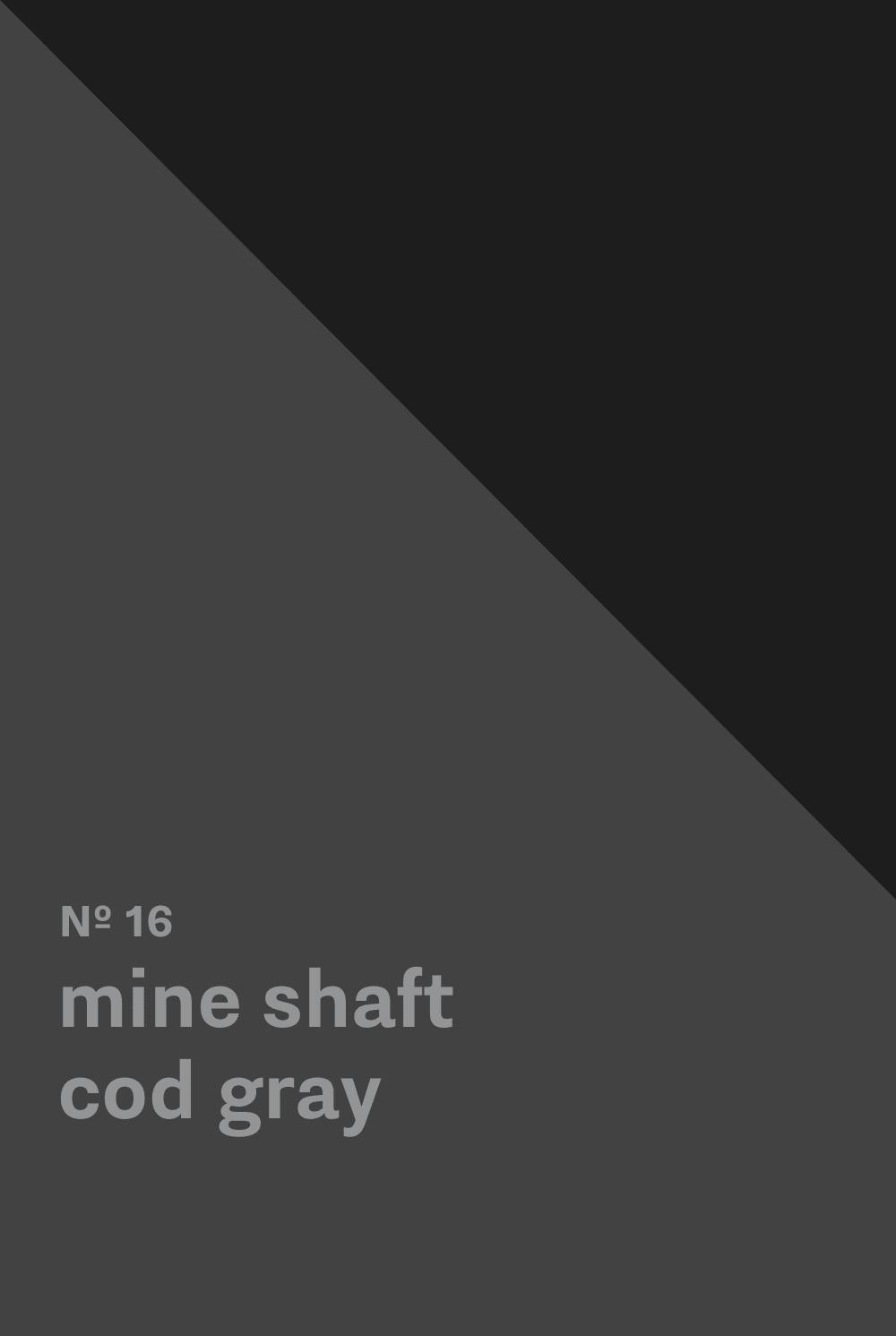 Mine Shaft - Cod Gray