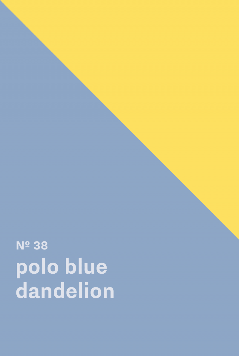 Color inspiration for: Polo Blue - Dandelion