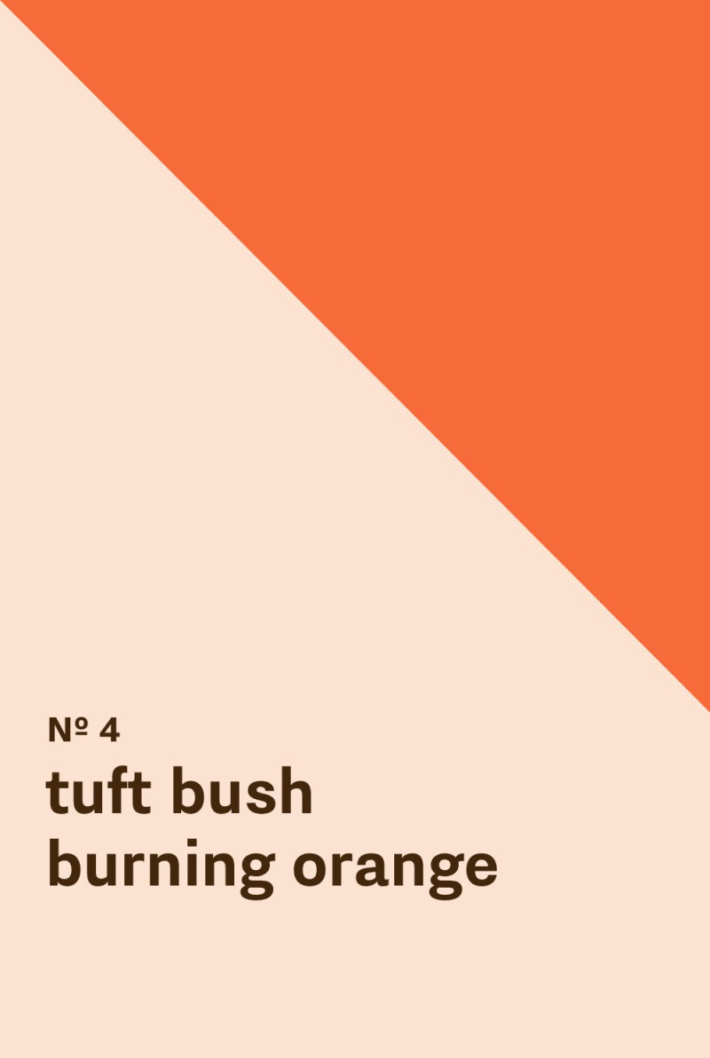 Color inspiration for: Tuft Bush - Burning Orange
