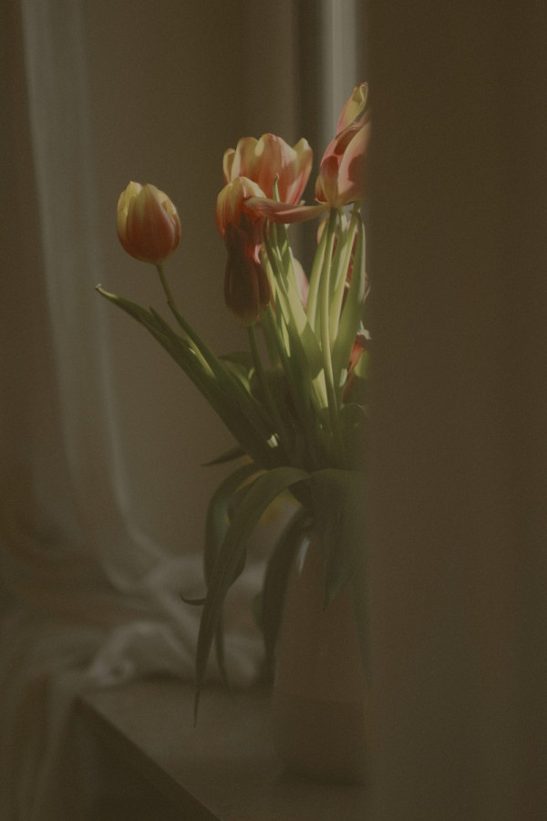 Auf einer Fensterbank steht ein Strauß, der im Vordergrund halb von einem Wandvorsprung verdeckt wird. Vordergrund und Hintergrund liegen im Schatten. Einzig die Tulpen erhaschen ein paar Sonnenstrahlen. Das Foto ist in gedeckten Farben aufgenommen.