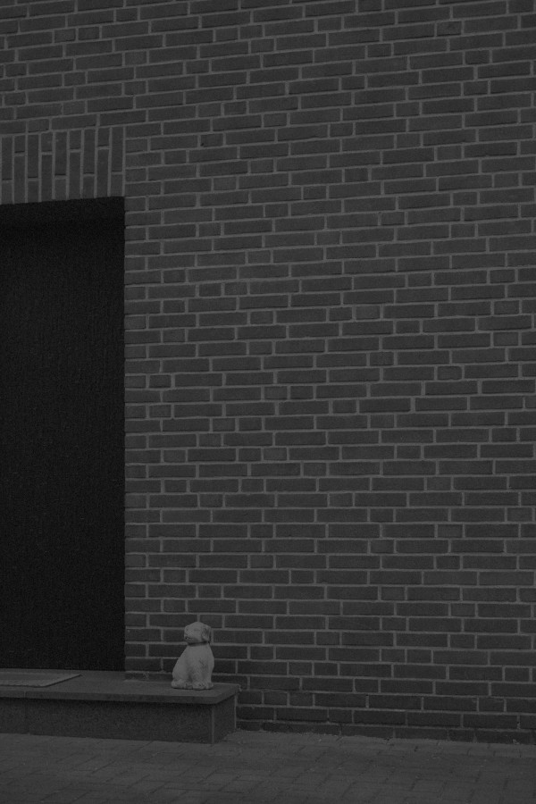 Schwarz-weiß Foto. Ein Hauseingang. Neben der Haustür sitzt ein kleiner Hund aus Keramik vor der Hauswand aus Backstein.